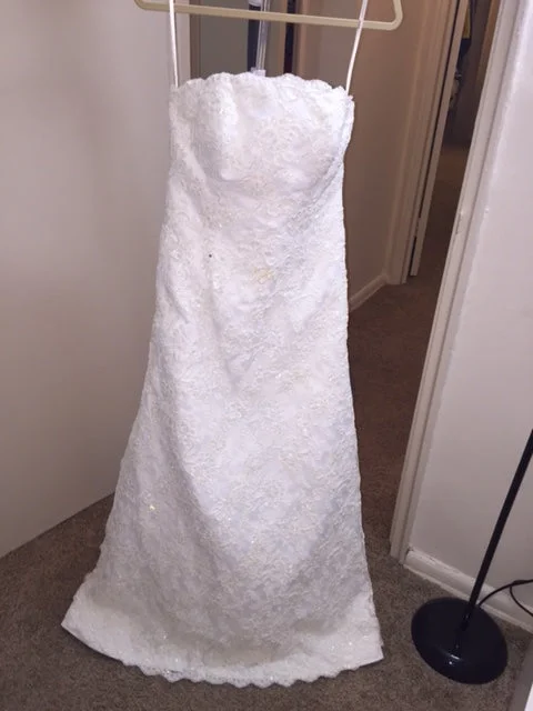 Special Offer Augusta Jones Strapless Lace Fit to Flare (price negotiable)