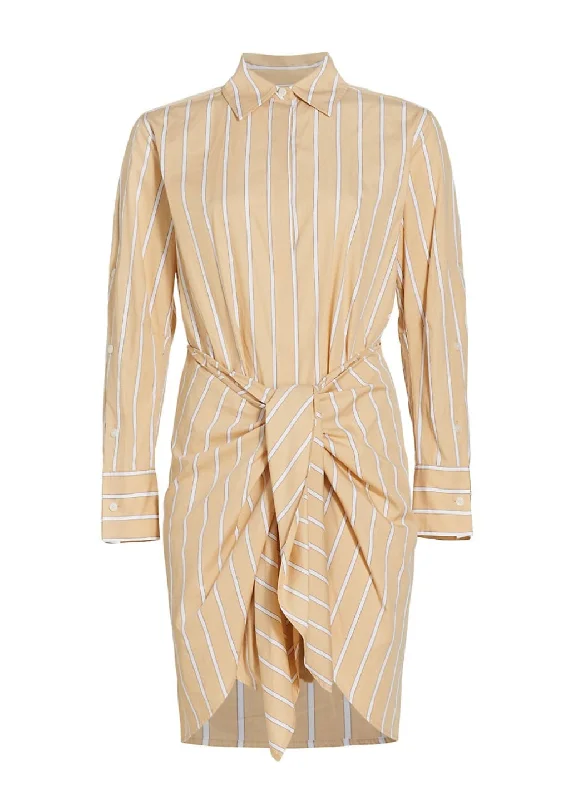 Can't Miss Charlotte Shirt Dress